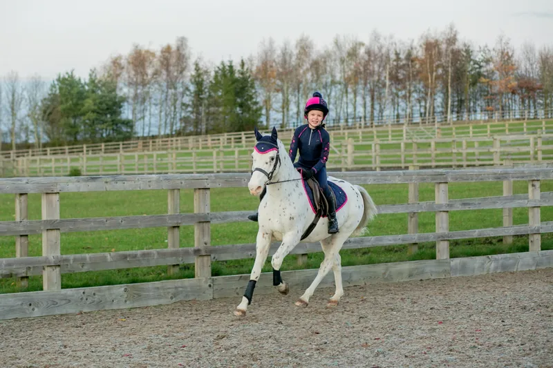 Hy Equestrian DynaMizs Ecliptic Fly Veil - Navy/Magenta-2